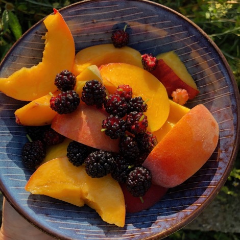peaches and mulberries